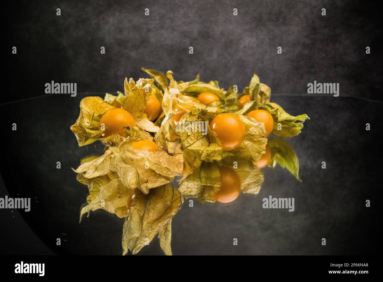 Physalis goldene Beeren Nahaufnahme Stockfoto