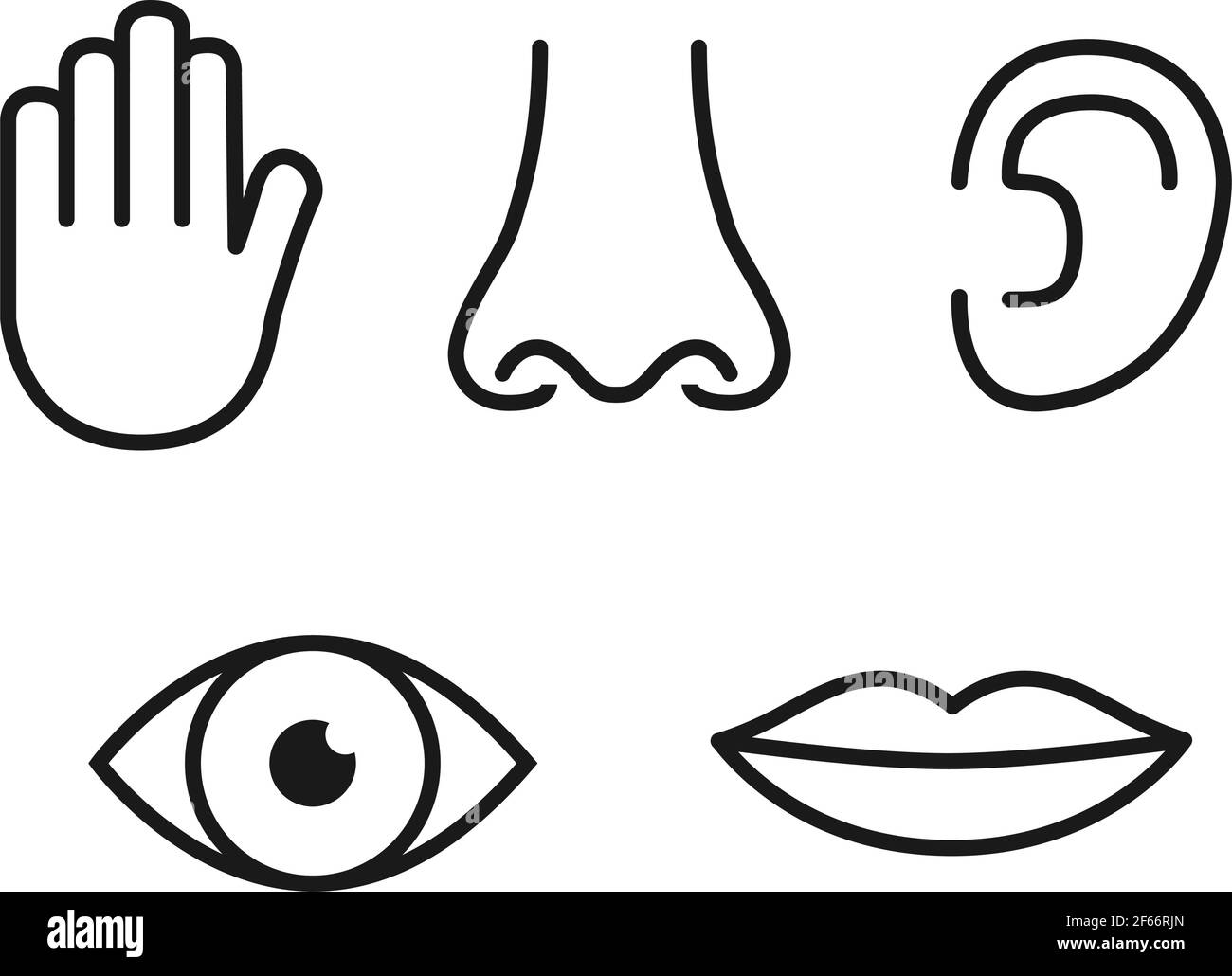 Umriss Icon Set von fünf menschlichen Sinnen: Vision (Auge), Geruch (Nase),  Hören (Ohr), Berührung (Hand), Geschmack (Mund mit Zunge Stock-Vektorgrafik  - Alamy