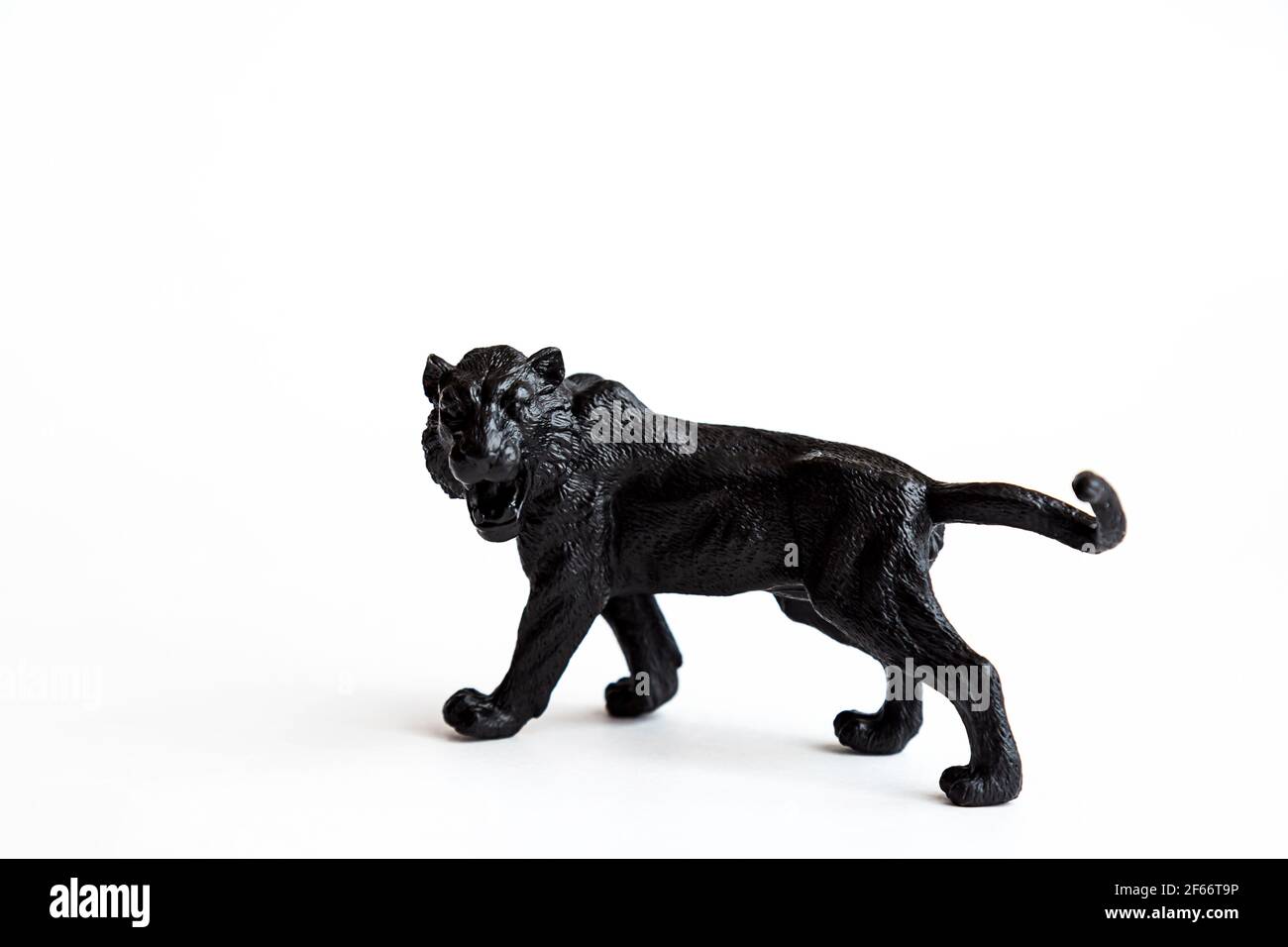 Schwarzes Tiger Spielzeug isoliert auf weißem Hintergrund. Stockfoto