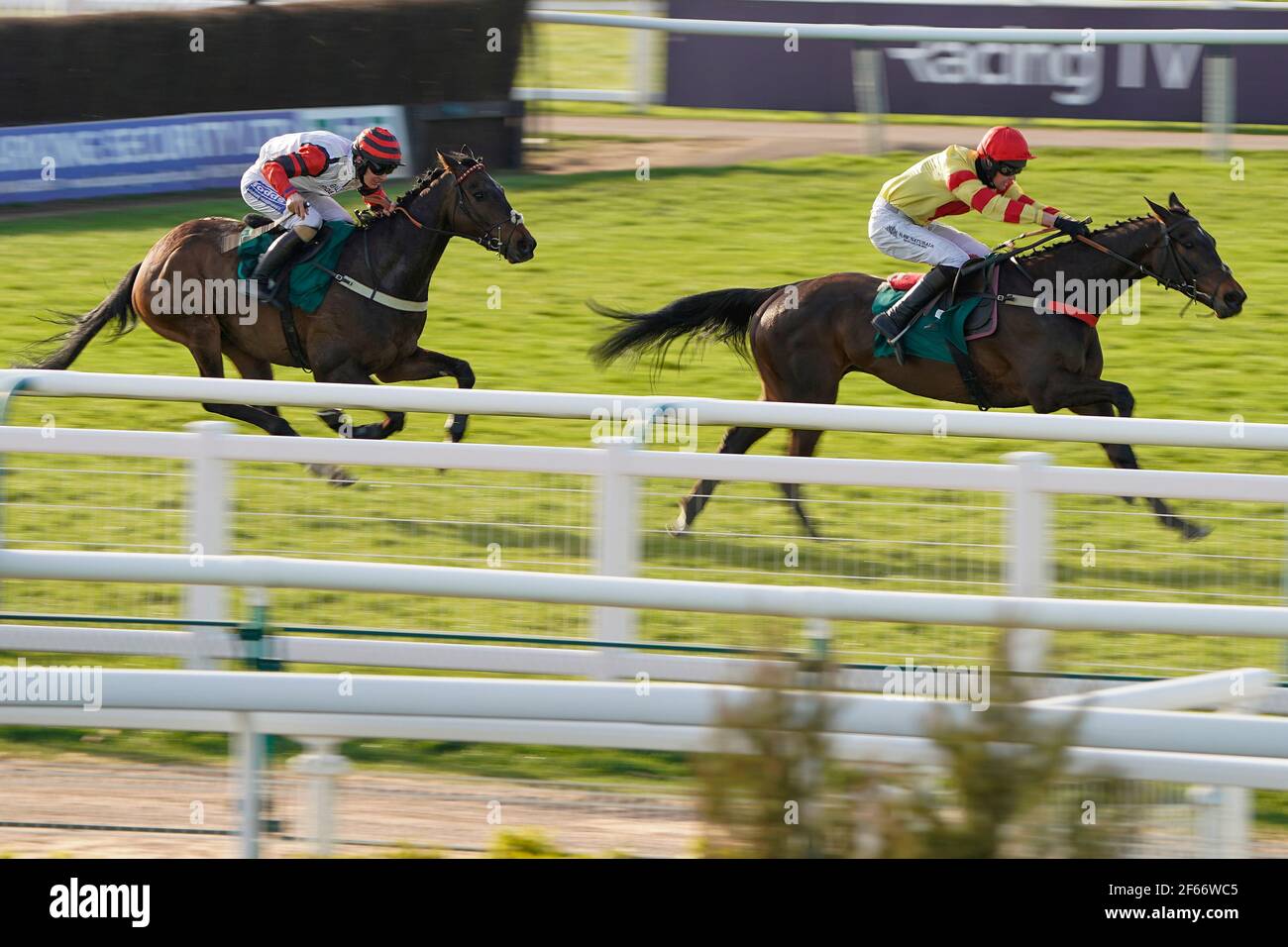 Brendan Powell gewinnt mit Black Poppy das Maiden Open NH Flat Race racingtv.com (GBB Race) (Div 1) auf der Warwick Racecourse. Bilddatum: Dienstag, 30. März 2021. Stockfoto