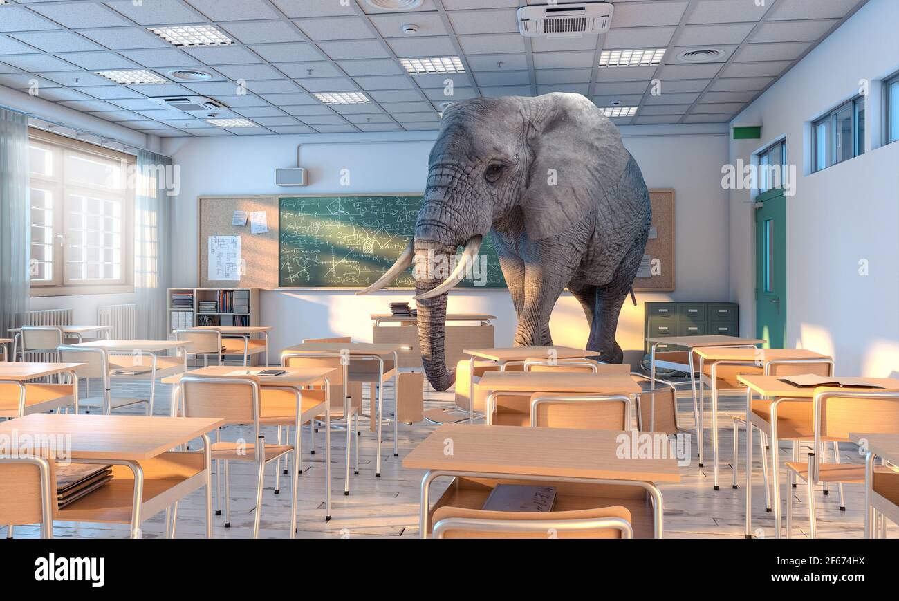 Großer Elefant in einer Schule. Konzept der versteckten Probleme. 3D Rendern. Stockfoto