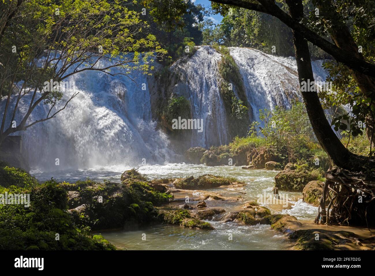 Cascadas de Agua Azul, Reihe von Wasserfällen auf dem Xanil Fluss in der Nähe der Städte Chilón und Tumbalá, Chiapas, Südmexiko Stockfoto