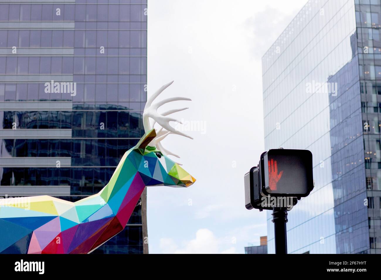 Street Art im Bostons Seaport District von dem spanischen Künstler Okuda San Miguel von Buck oder Deer Stockfoto