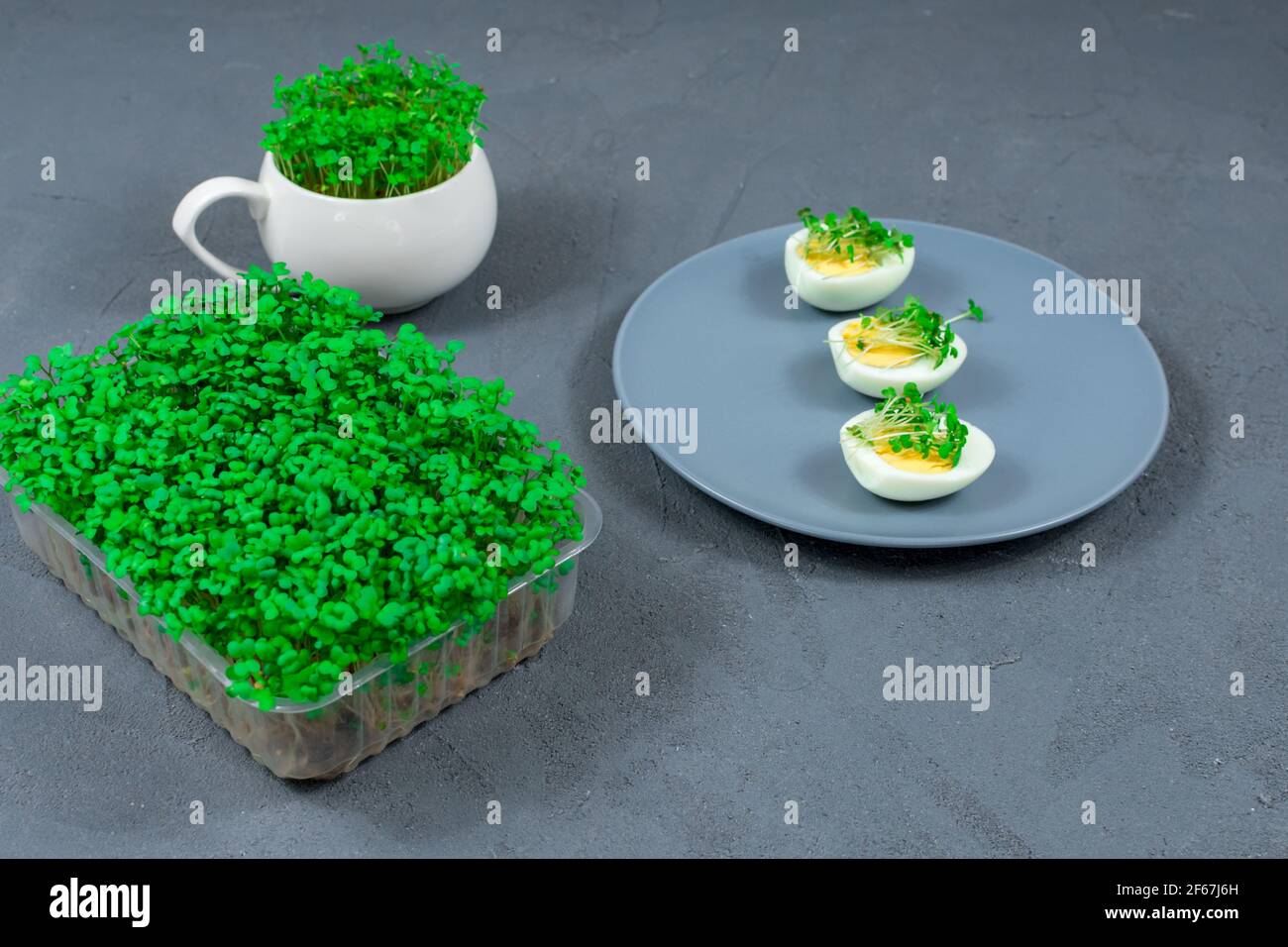 Microgreens auf Eiern. Den Salat mit mikrogrünen Blättern dekorieren. Diät-Essen. Gekochte und frische Eier auf einem Hintergrund von frischen knusprigen Microgreens. Stockfoto
