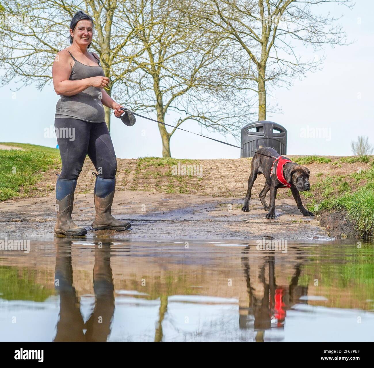 Kidderminster, Großbritannien. März 2021, 30th. Wetter in Großbritannien: Ungewöhnlich warme Temperaturen bringen heute deutlich mehr Hundewanderer in die lokalen Parks in Kidderminster und da Besitzer das Beste aus dem herrlichen Sonnenschein machen, brauchen ihre Hundefreunde an diesem außergewöhnlich warmen Märztag eine willkommene Abkühlung. Kredit: Lee Hudson/Alamy Live Nachrichten Stockfoto