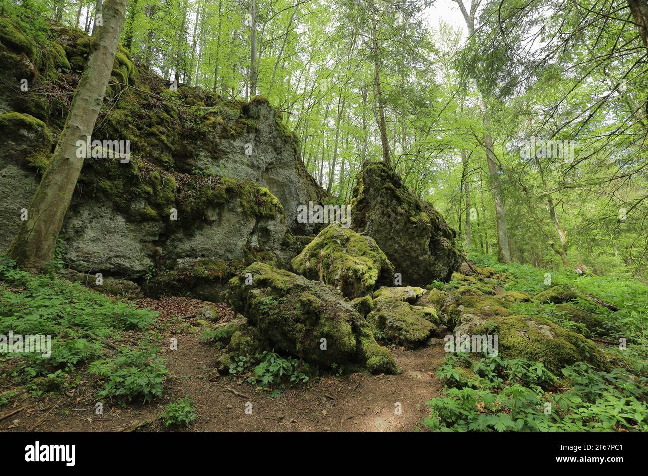 Die Überreste der Burkhardt-Höhle auf der Schwäbischen Alb Die im Frühjahr 1945 von der Wehrmacht gesprengt wurde Stockfoto