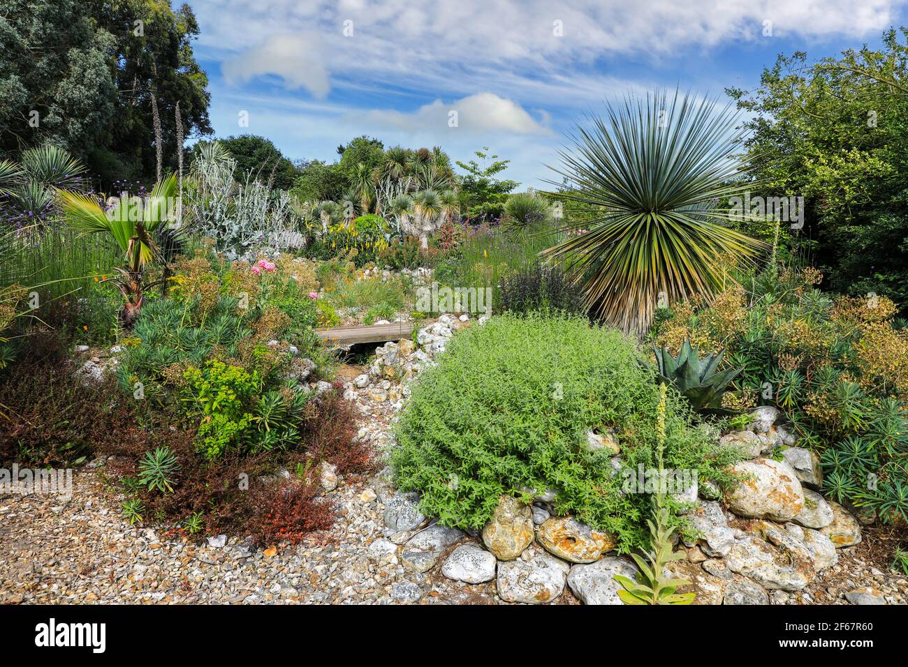 Der Desert Wash Garten im East Ruston Old Vicarage Garden, East Ruston, Norfolk, England, Großbritannien Stockfoto