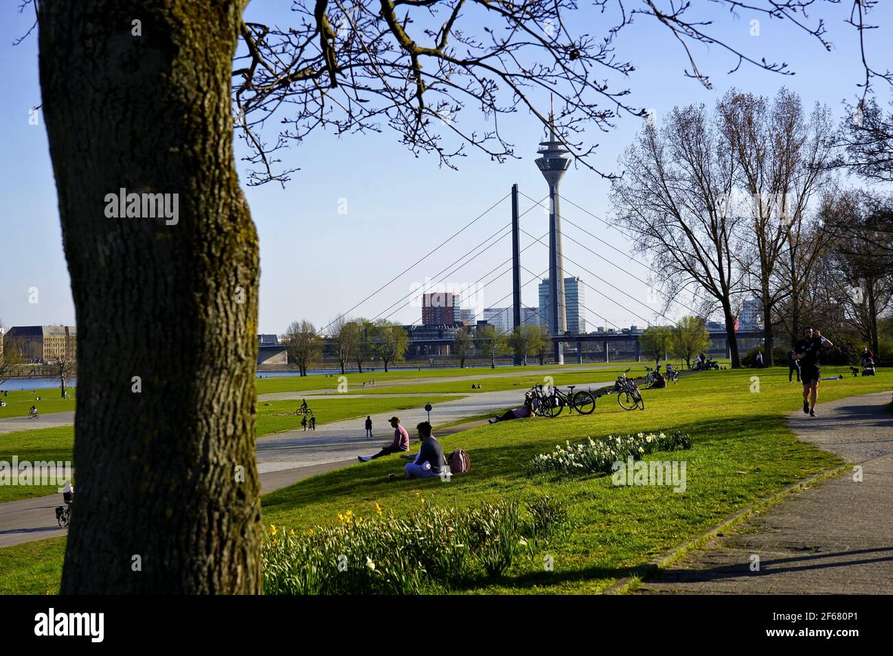Schöner Frühlingstag mit Sonnengenuß in Düsseldorf, Bezirk Oberkassel. Im Hintergrund ist der Wahrzeichen Rheinturm zu sehen. Stockfoto