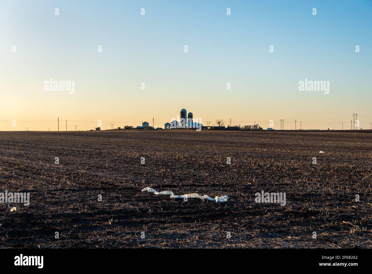 Ein wolkenloser Himmel bei Sonnenuntergang hebt Plastikmüll in einem Winterfarmfeld hervor. Stockfoto