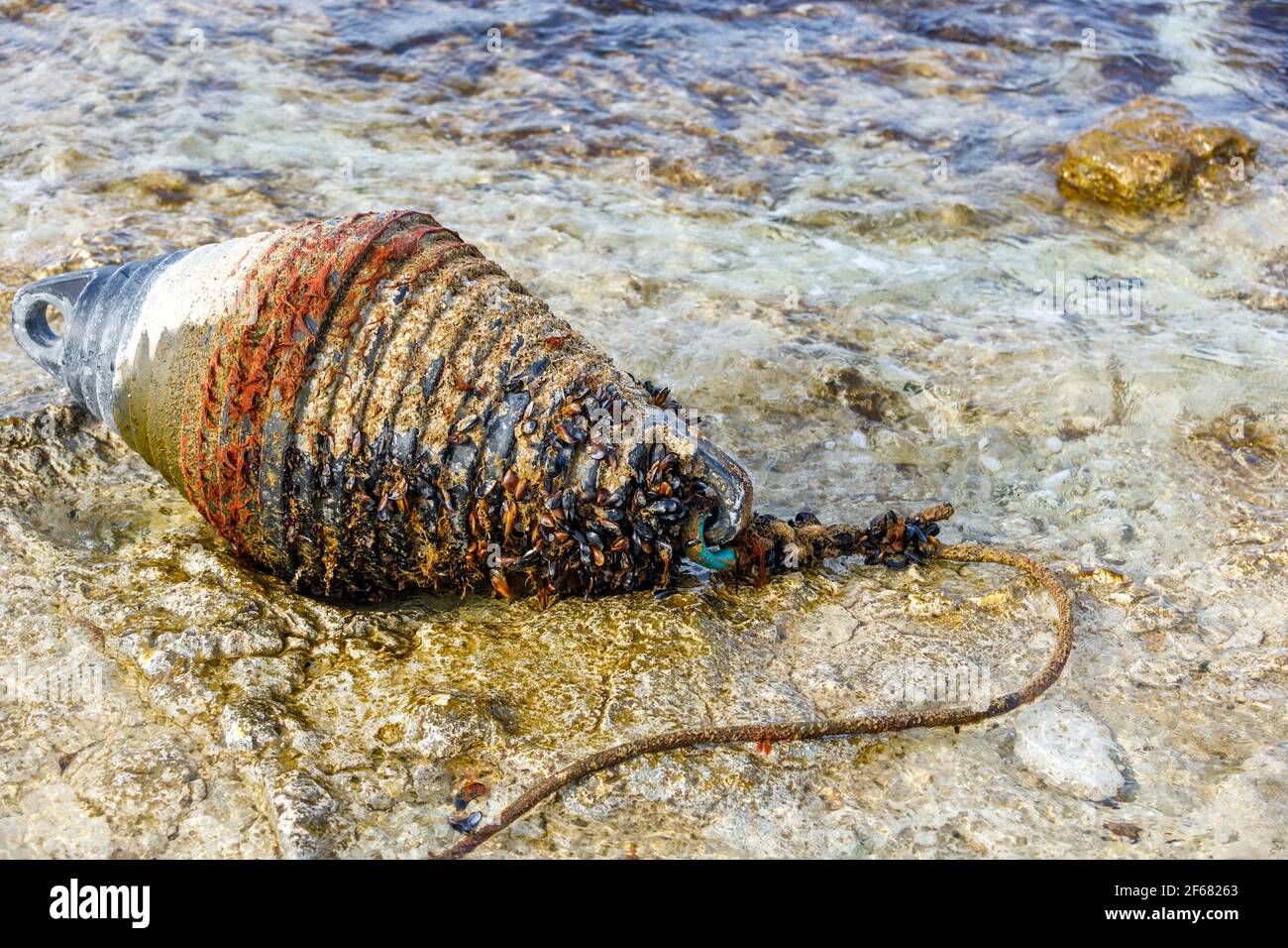 Eine abgebrochene Meeresboje, überwuchert mit Muscheln, liegt am Ufer. Stockfoto