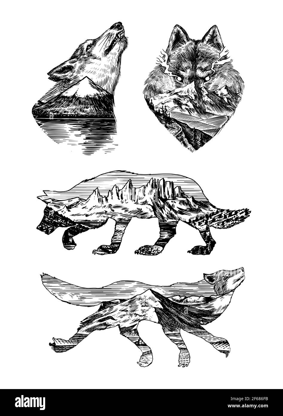 Graues Wolf Logo und Abzeichen. Wald und Berg und Hügel. Doppelbelichtungskonzept. Ein Raubtier. Wildes Waldtier. Vektor graviert von Hand gezeichnet Stock Vektor