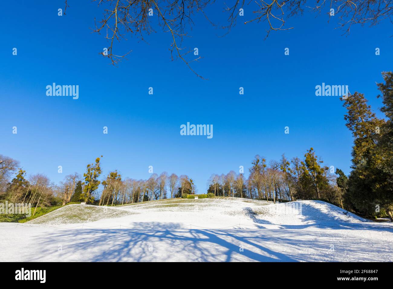 Das HangAmphitheater im Claremont Landscape Garden bei Esher, Surrey, Südostengland an einem verschneiten Wintertag mit Baumschatten Stockfoto