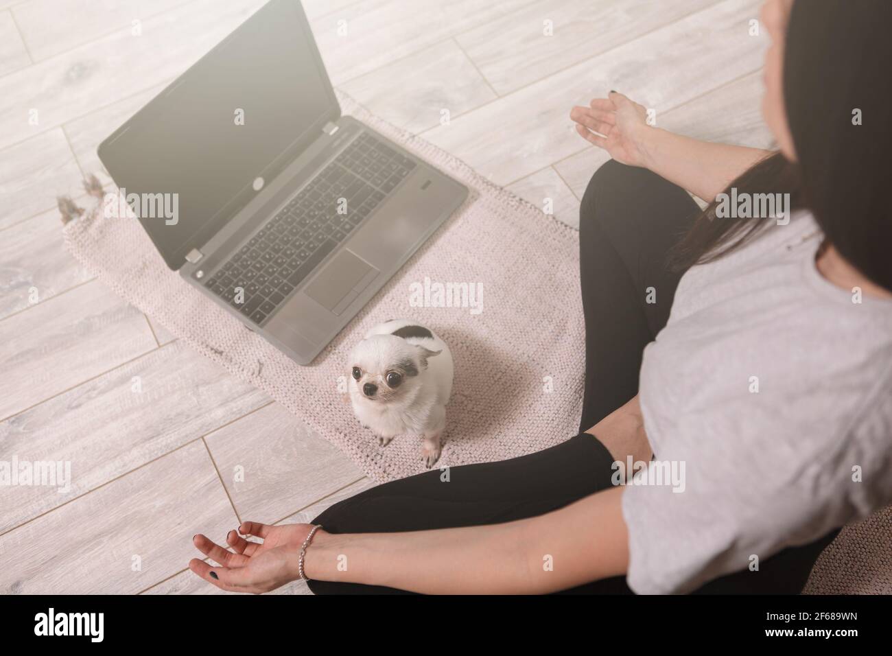 Draufsicht auf eine Frau, die in Lotusposition meditiert Vor dem Laptop mit ihrem niedlichen Hund Stockfoto Draufsicht auf eine Frau, die in Lotusposition meditiert Vor dem Laptop mit ihrem niedlichen Hund Stockfoto