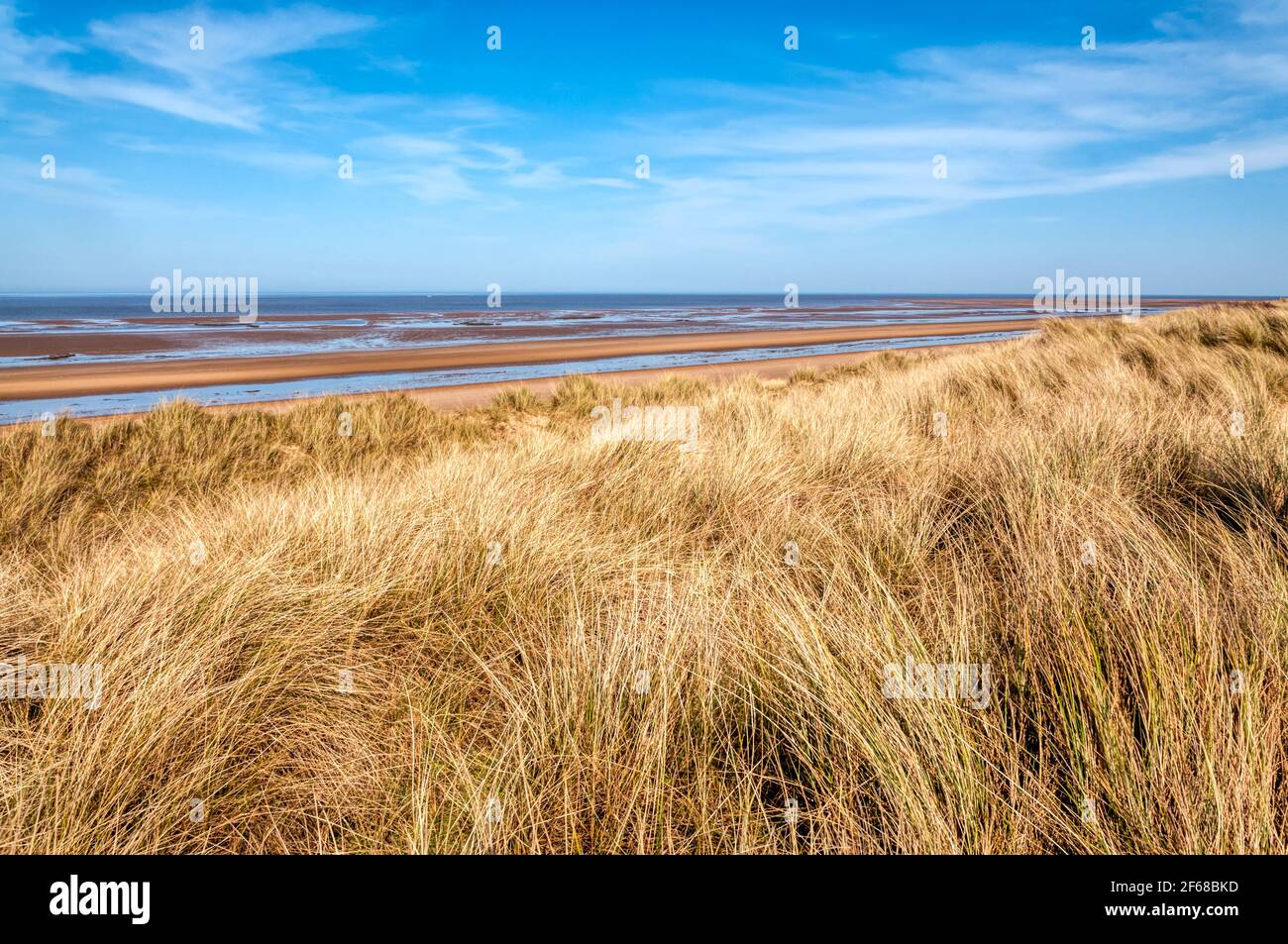 Ein leerer Holme-next-the-Sea Strand, North Norfolk. Mit Marrammgras bedeckte Dünen, Ammophila arenaria. Stockfoto