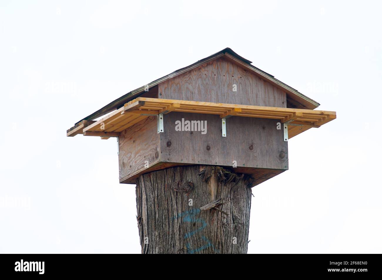 Nistkasten für Scheuneneulen, gebaut aufgrund der abgerissenen alten Scheunen. Pitt Meadows, B. C., Kanada. Stock Foto. Stockfoto