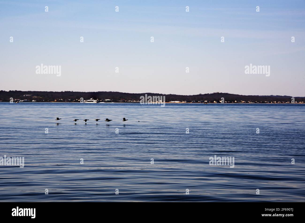 Leben auf dem Wasser Stockfoto