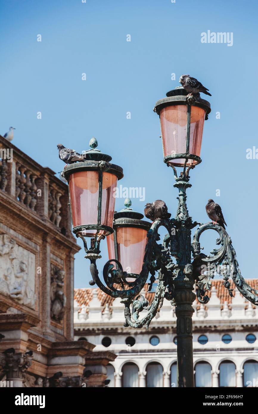 Tauben auf verzierten rosa Lampenpfosten in Venedig gegen blau Himmel Stockfoto