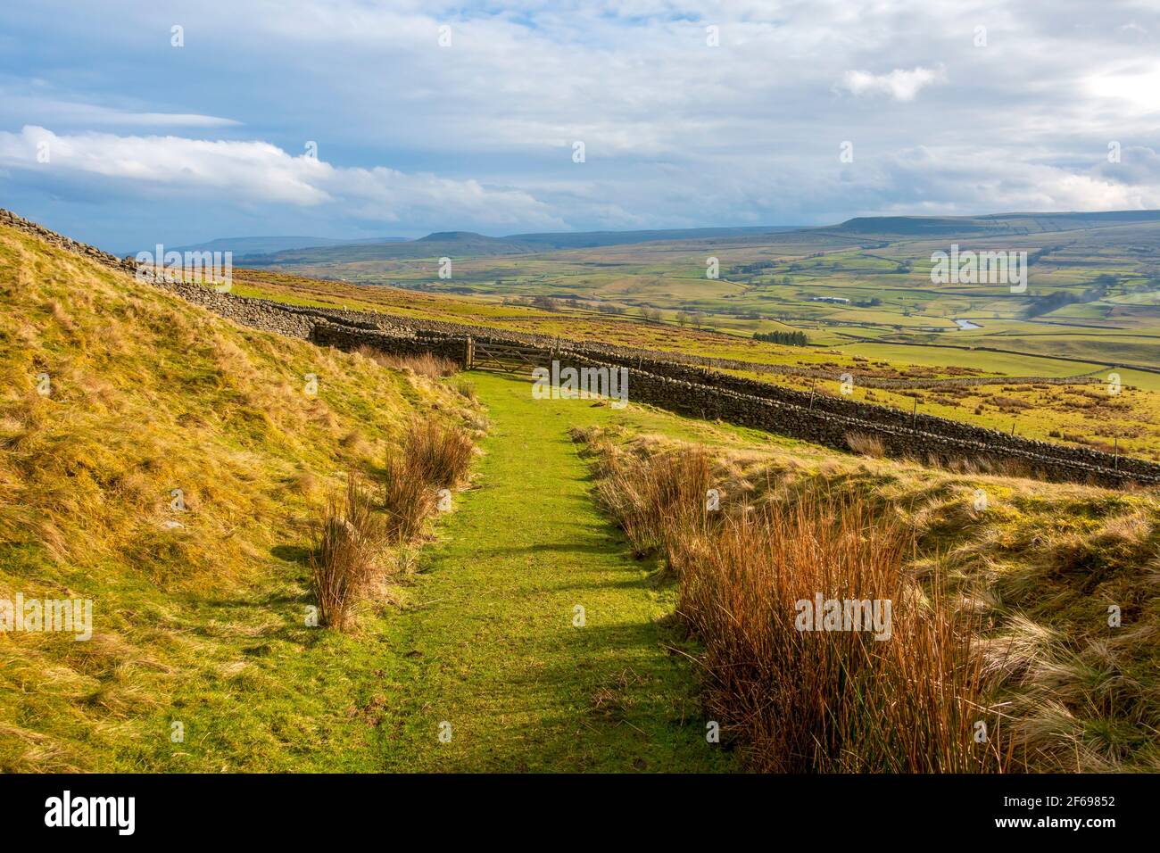 Wensleydale von Askrigg Common, Yorkshire Dales National Park Stockfoto