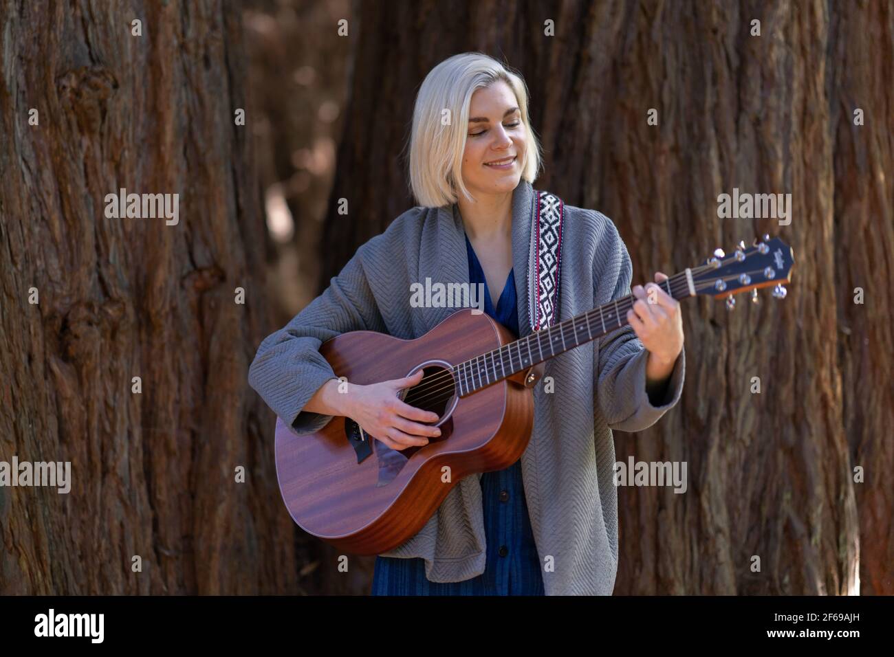 Schöne junge Frau spielt Gitarre in Redwood Hain Stockfoto