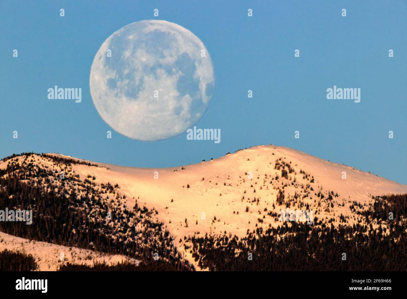 Voller „Worm Moon“-Setting über den Rocky Mountains, Salida, Colorado, USA Stockfoto