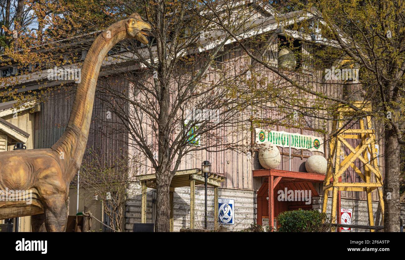 Dinosaurier und Dinosaurier Entdecken Sie eine lehrreiche Attraktion mit lebensgroßen, animierten Dinosauriern im Stone Mountain Park in Atlanta, Georgia. (USA) Stockfoto