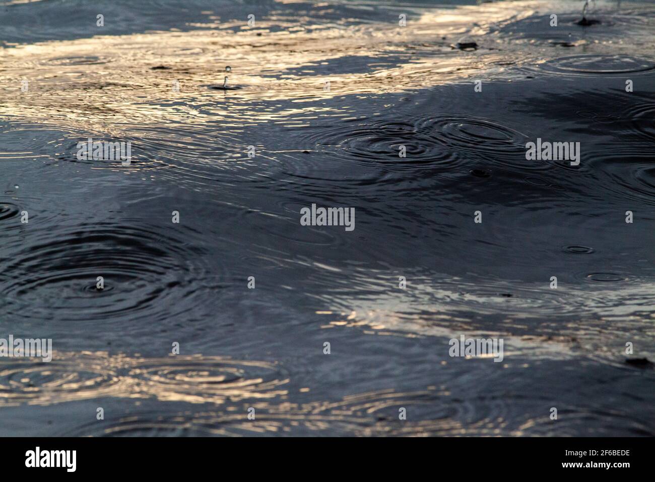 Regentropfen spritzt, hüpft, auf sich bewegenden, leicht aufschwellenden Wasserflächen eines langsam bewegten Flusses. In der Nähe von. Stockfoto