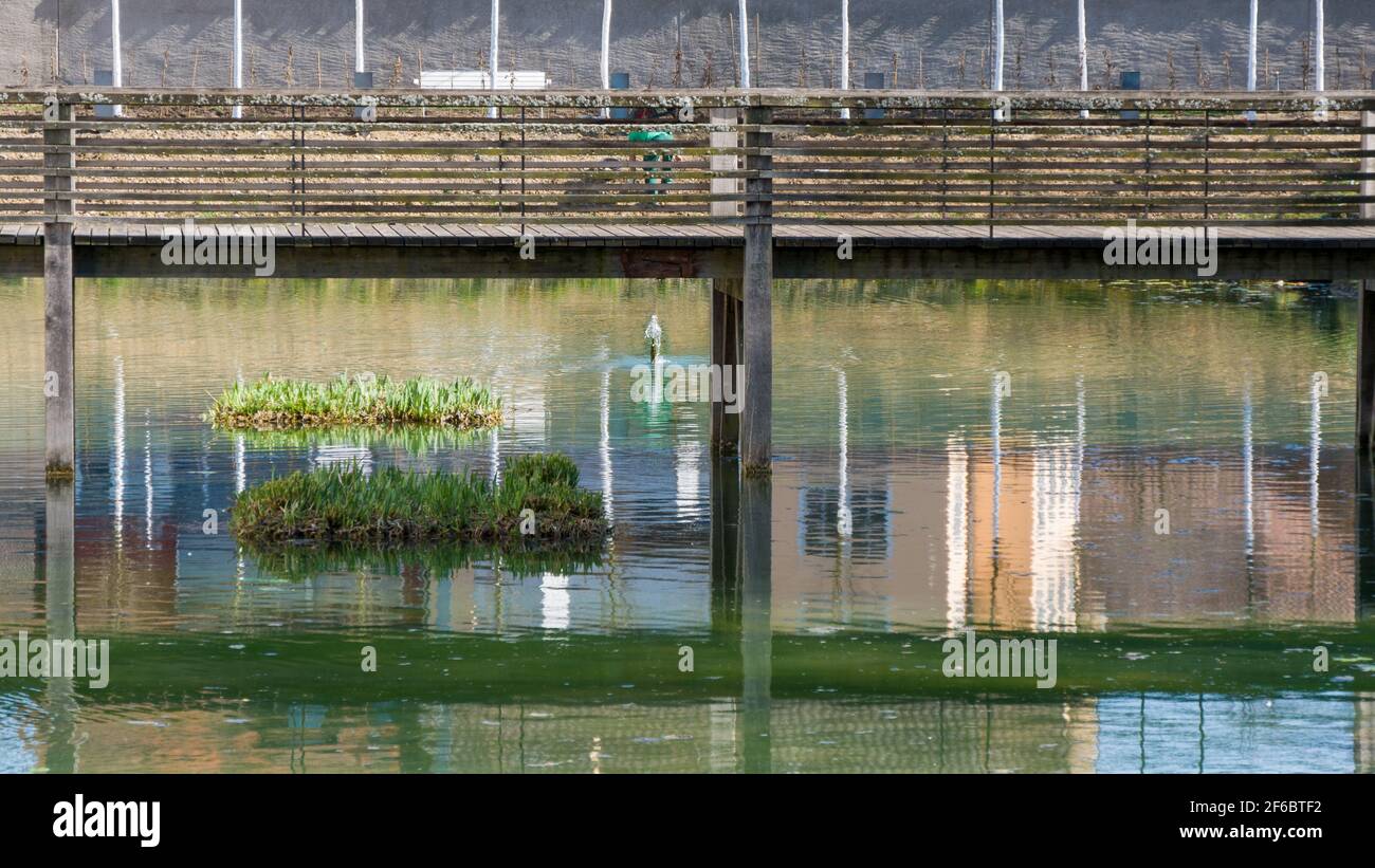 Holzbrücke über den Teich Stockfoto