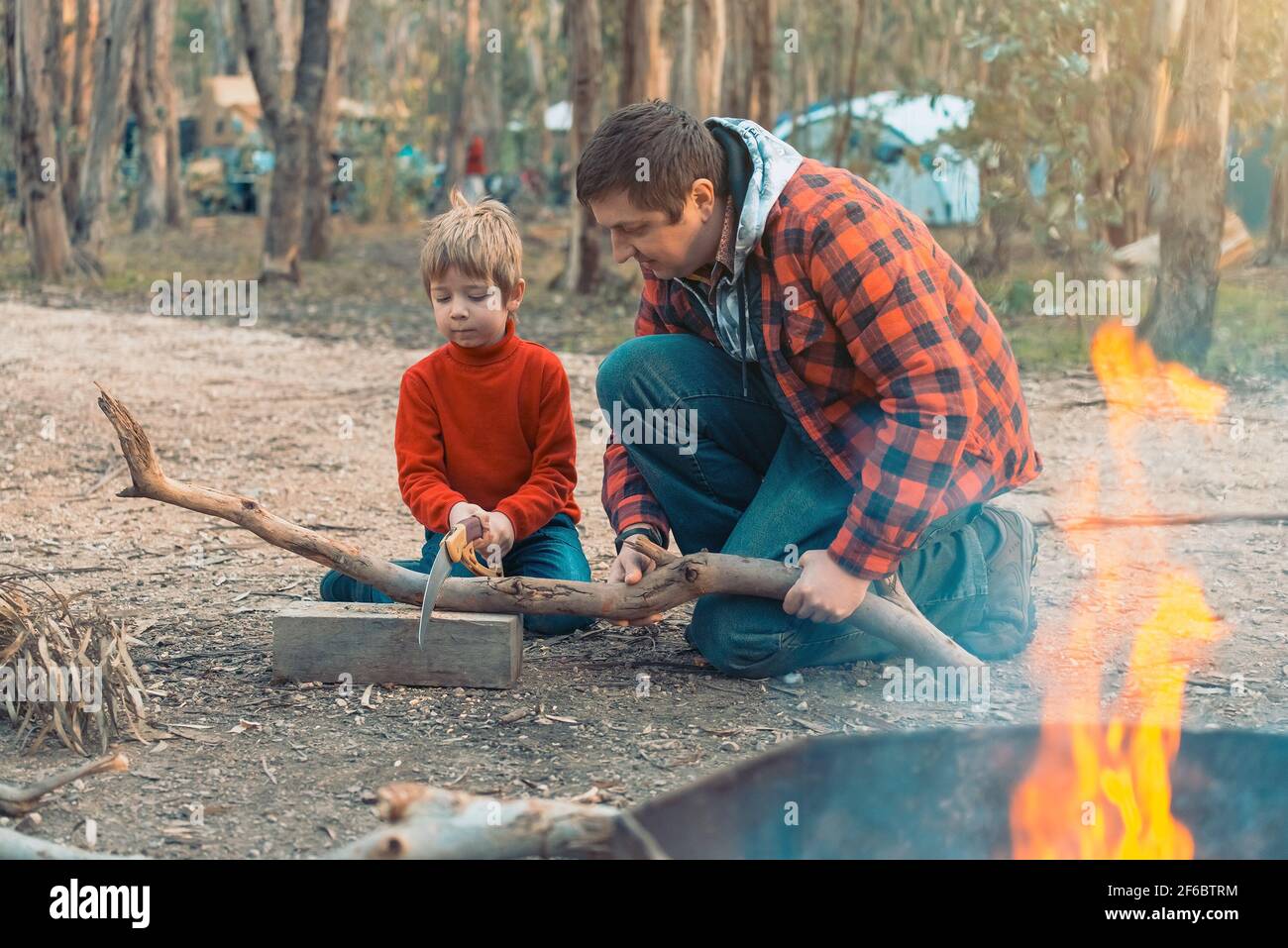 Vater und Sohn schneiden Holz mit Säge für ein Lagerfeuer im Wald, Kuitpo, South Australia Stockfoto