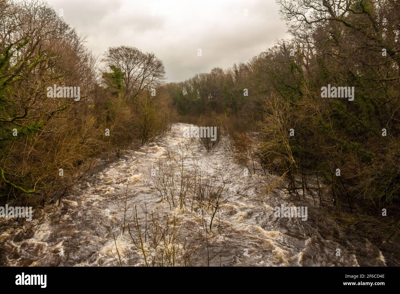 Schnell fließendes Winterflutwasser auf dem Fluss Dee in Tongland, in der Nähe von Kirkcudbright, Schottland Stockfoto