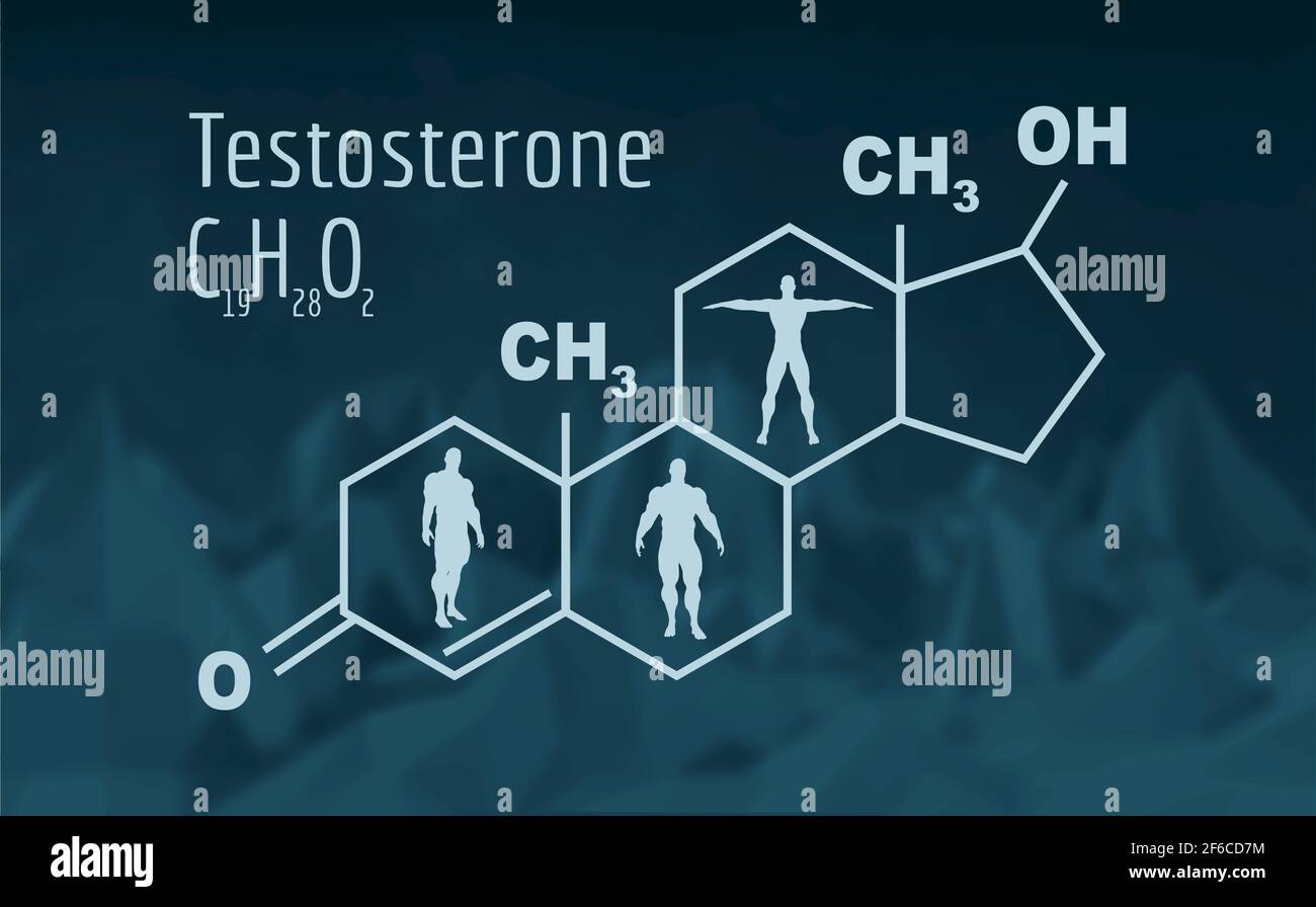 Chemische molekulare Formel Hormon Testosteron. Infografiken-Illustration. Mann Silhouette. Low Poly Mountains Landschaft Hintergrund. Stock Vektor