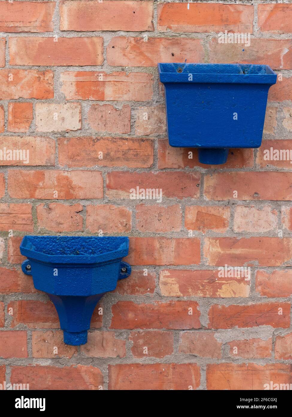 Vintage Gusseisen Abflussbehälter blau lackiert und befestigt an der Ziegelwand als Pflanzer in Westbury, Wiltshire, England, Großbritannien. Stockfoto