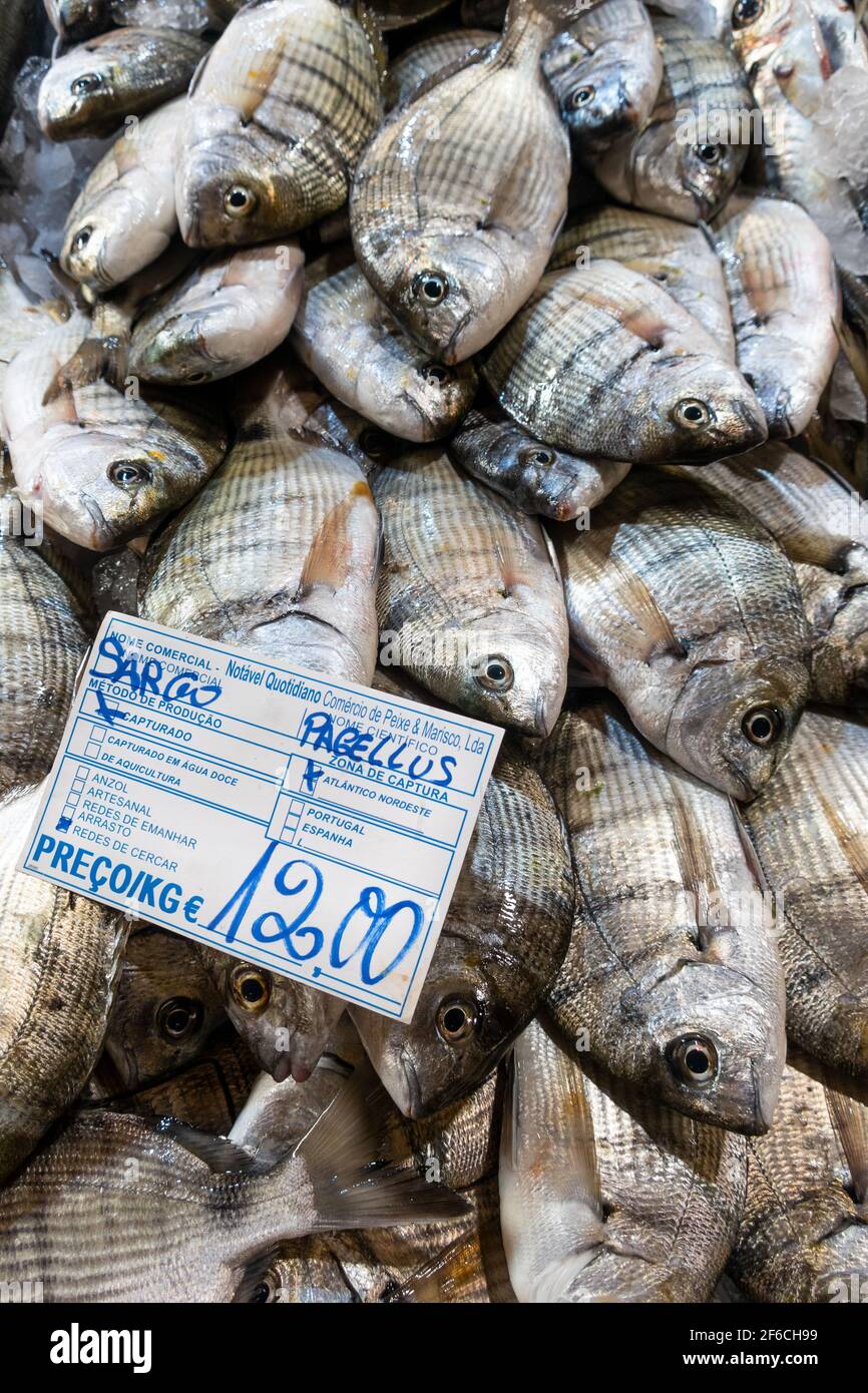 Seebream in Fischmarkt, Tavira, Algarve, Portugal Stockfoto