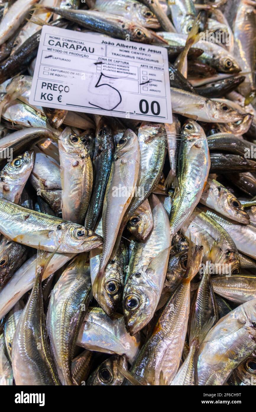 Frische Karapau oder Stöcker auf dem Fischmarkt, Algarve, Portugal Stockfoto