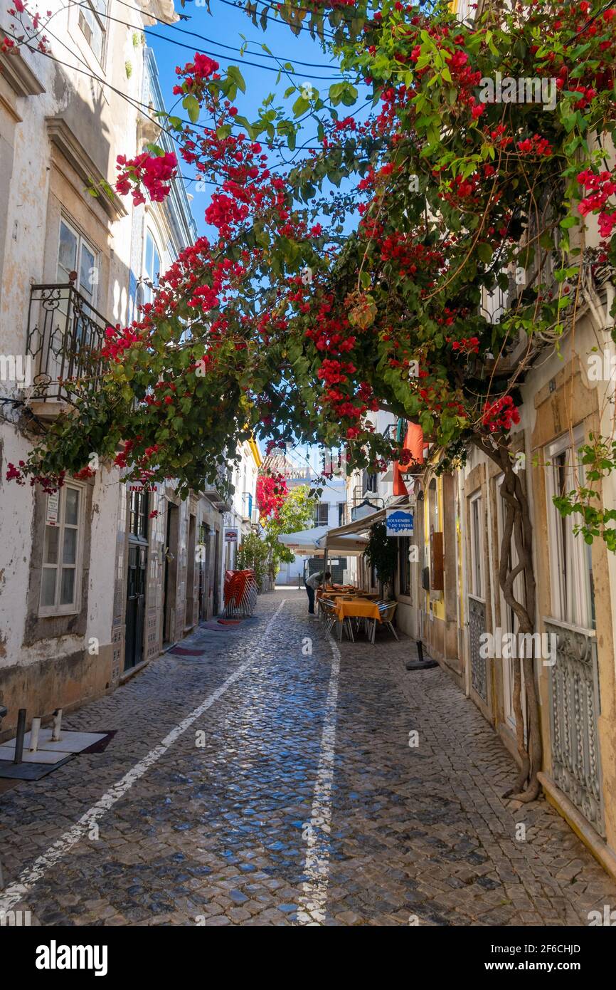 Restaurant und Bougainvillea Blume in einer engen Straße in Tavira, Ostalgarve, Portugal Stockfoto