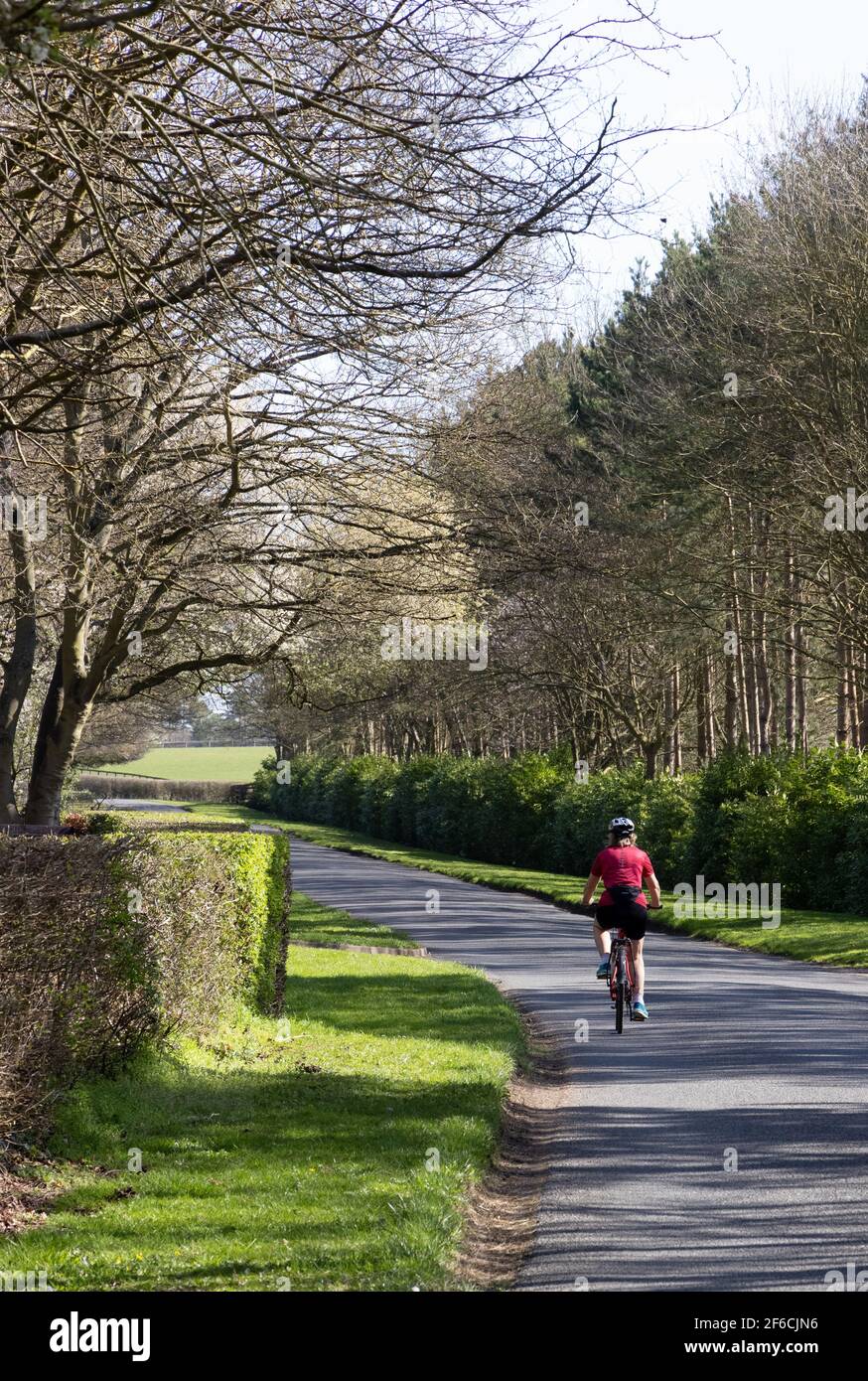 Frau mit dem Fahrrad in Großbritannien; eine alleinerziehende Frau, die allein auf einer Landstraße an einem sonnigen Frühlingstag Fahrrad fährt, Rückansicht, Lifestyle-Beispiel, Cambridgeshire UK Stockfoto