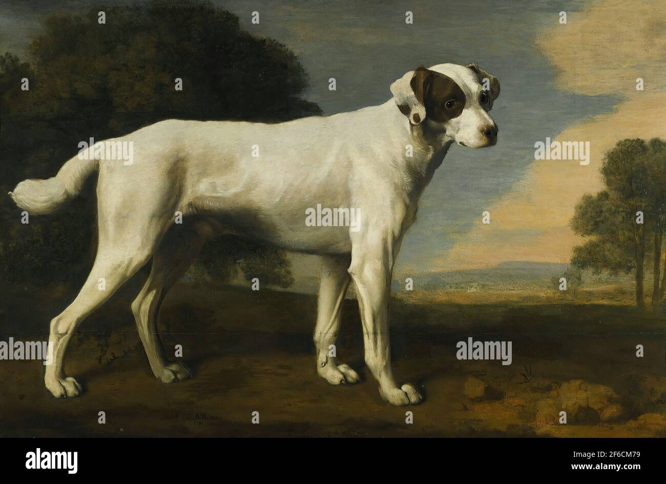 George Stubbs - Viscount Gormanston S White Dog 1781 Stockfoto