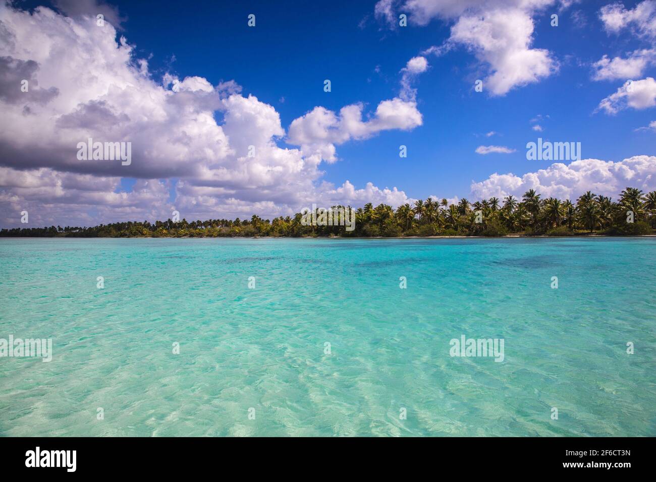 Dominikanische Republik, Punta Cana, Parque Nacional del Este, Mangroven Stockfoto