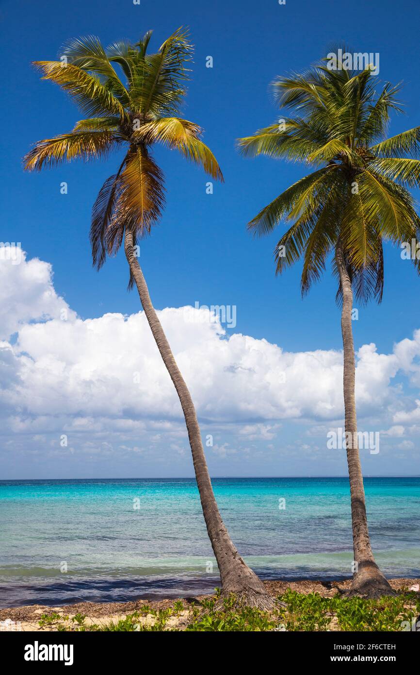 Dominikanische Republik, Punta Cana, Parque Nacional del Este, Saona, Catuano Strand Stockfoto