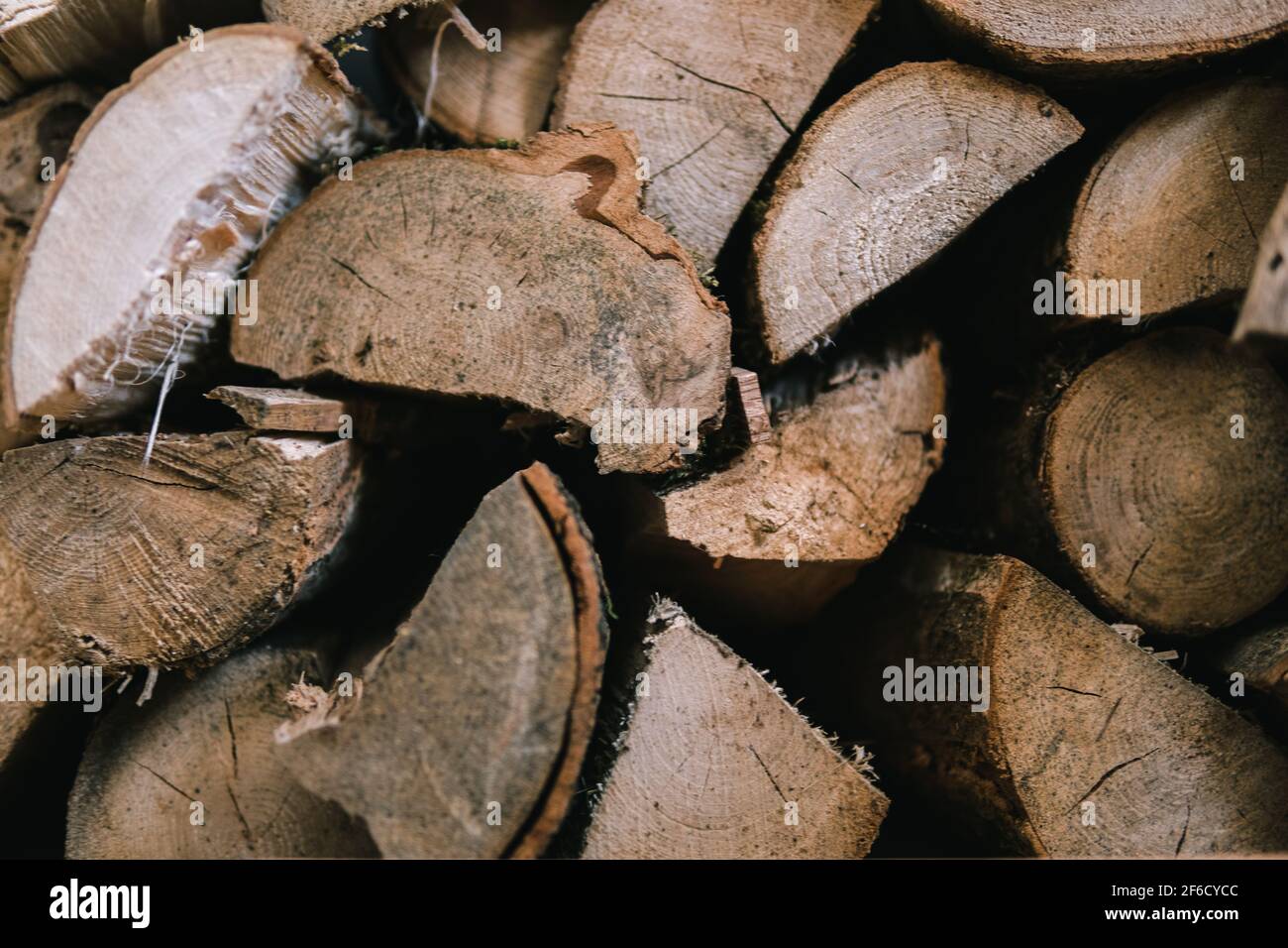 Nahaufnahme von Holzstämme Stockfoto