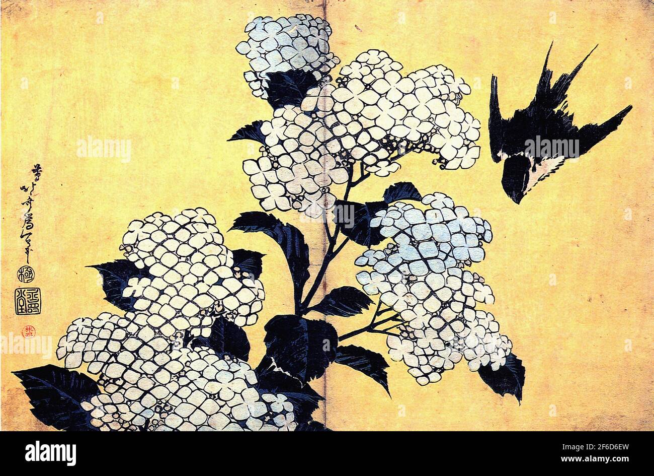 Katsushika Hokusai 葛飾北斎- Hydrange Schwalbe Stockfoto