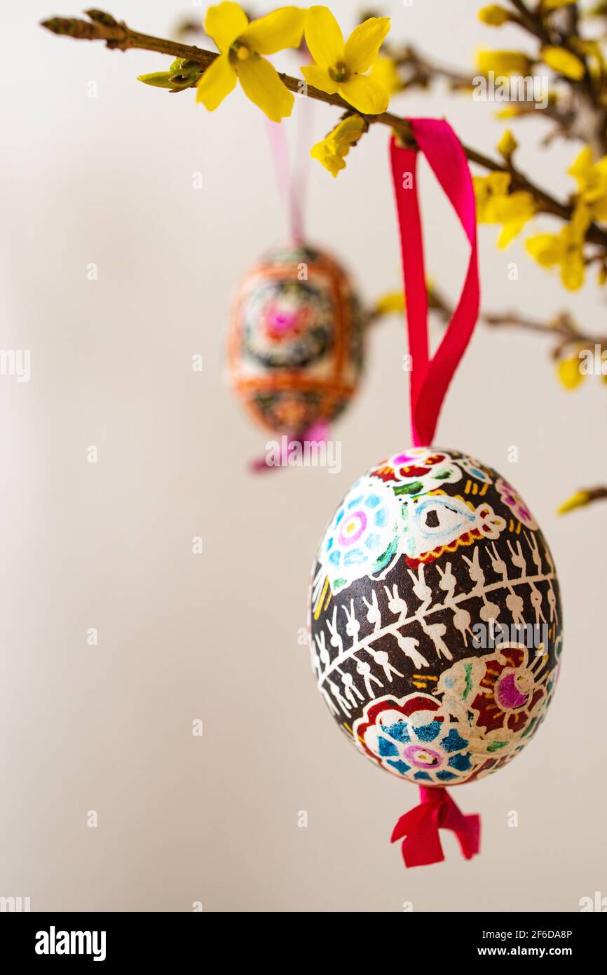 Die Anordnung der traditionell dekorierten „Blatnice“-Ostereier von Marie Cihakova und der blühenden Forsythia, Brno, Tschechische Republik, am 30. März 2021. (C Stockfoto