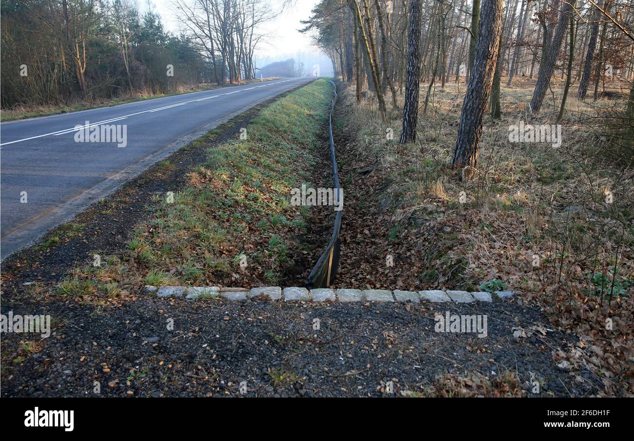 Ein Zaun, der einen Zaun bildet und einen Frosch unter die Straße führt. Stockfoto