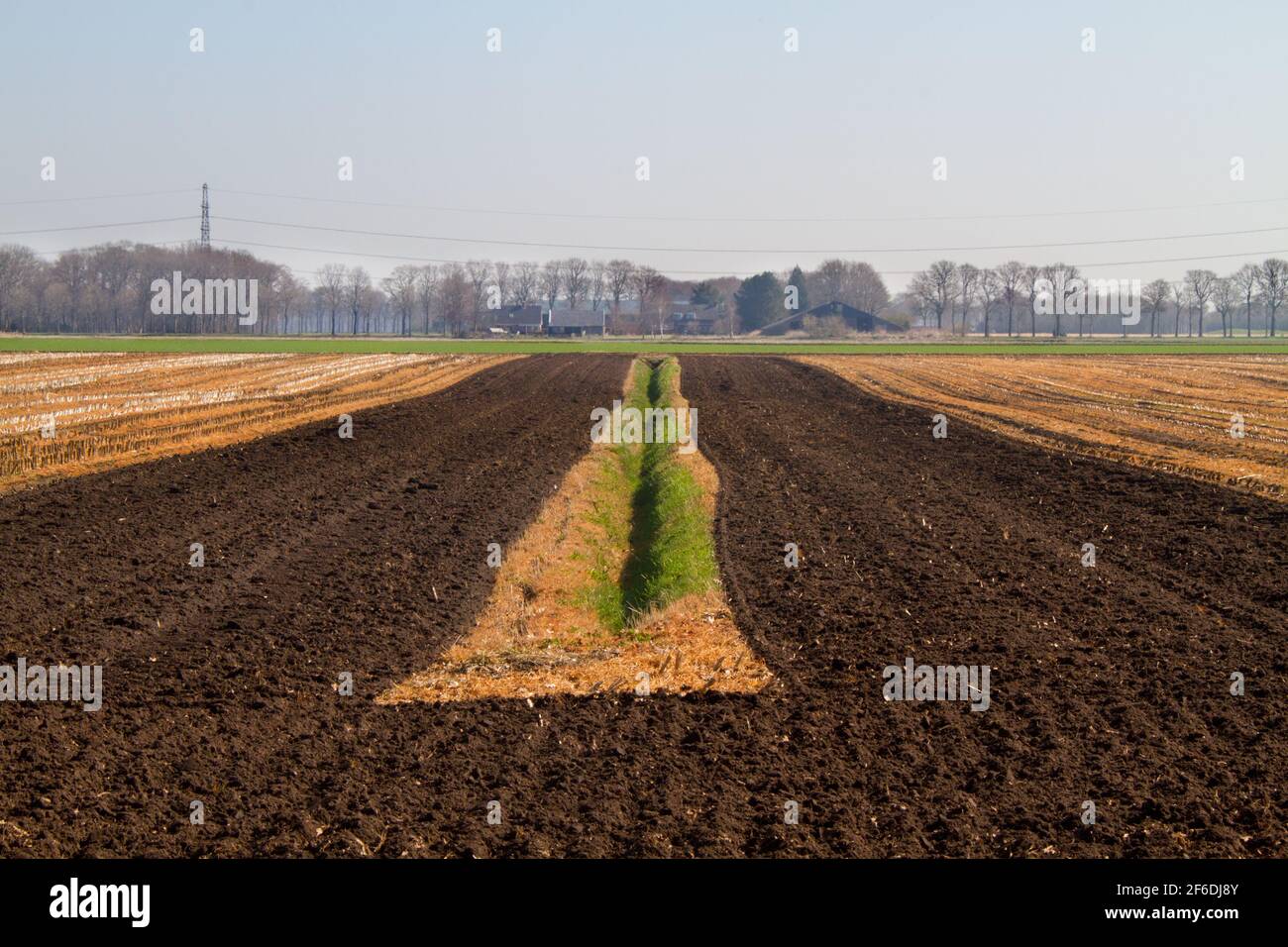 Rationale Landwirtschaft im Frühjahr: Gerade Linien in einer langweiligen Landschaft Stockfoto