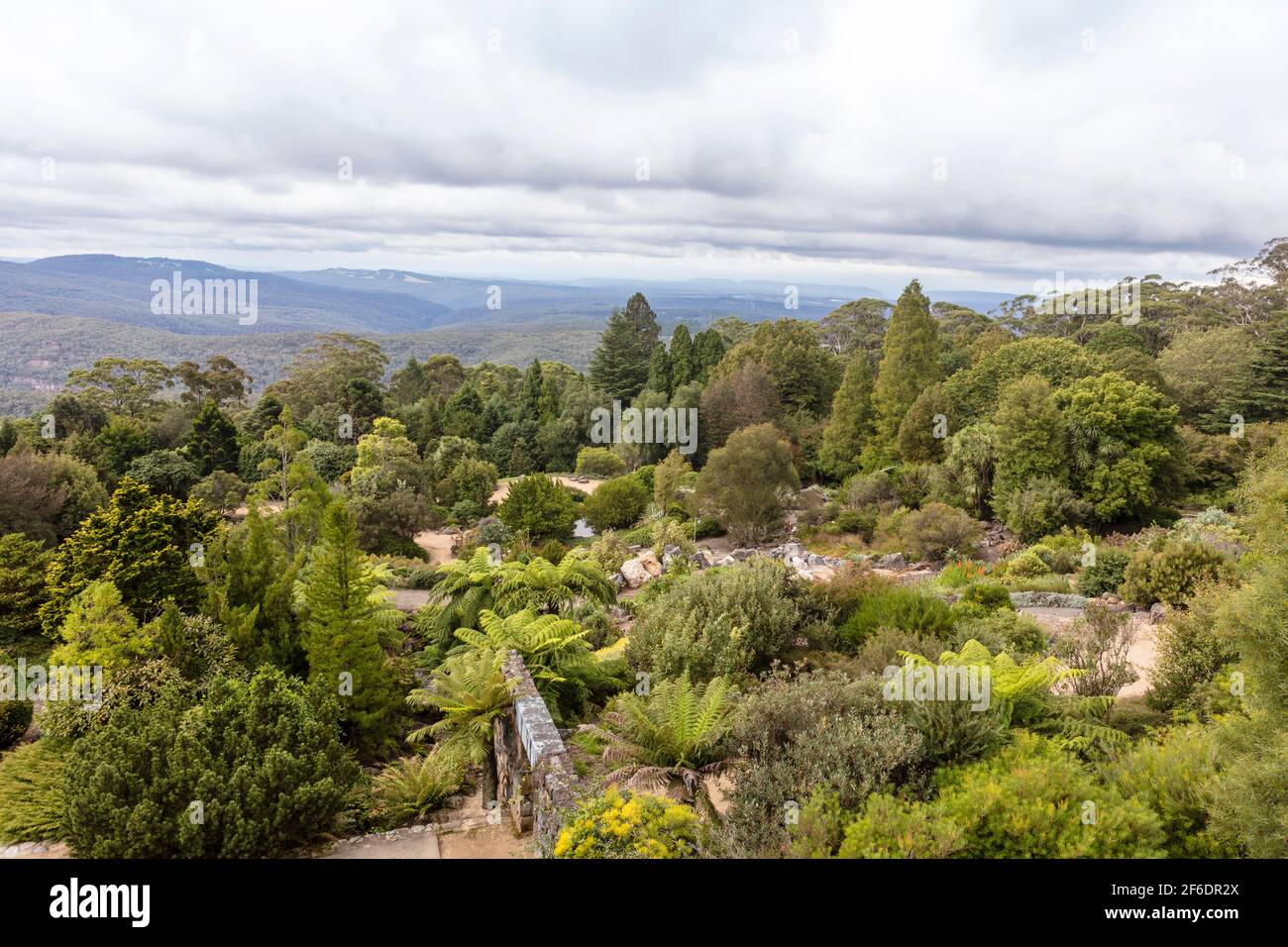 Panoramablick auf die Blue Mountains im Botanischen Garten bei Sydney, Australien. Stockfoto