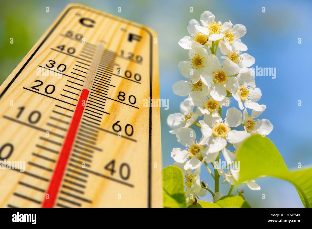 Warme Temperatur zum Frühling Stockfoto