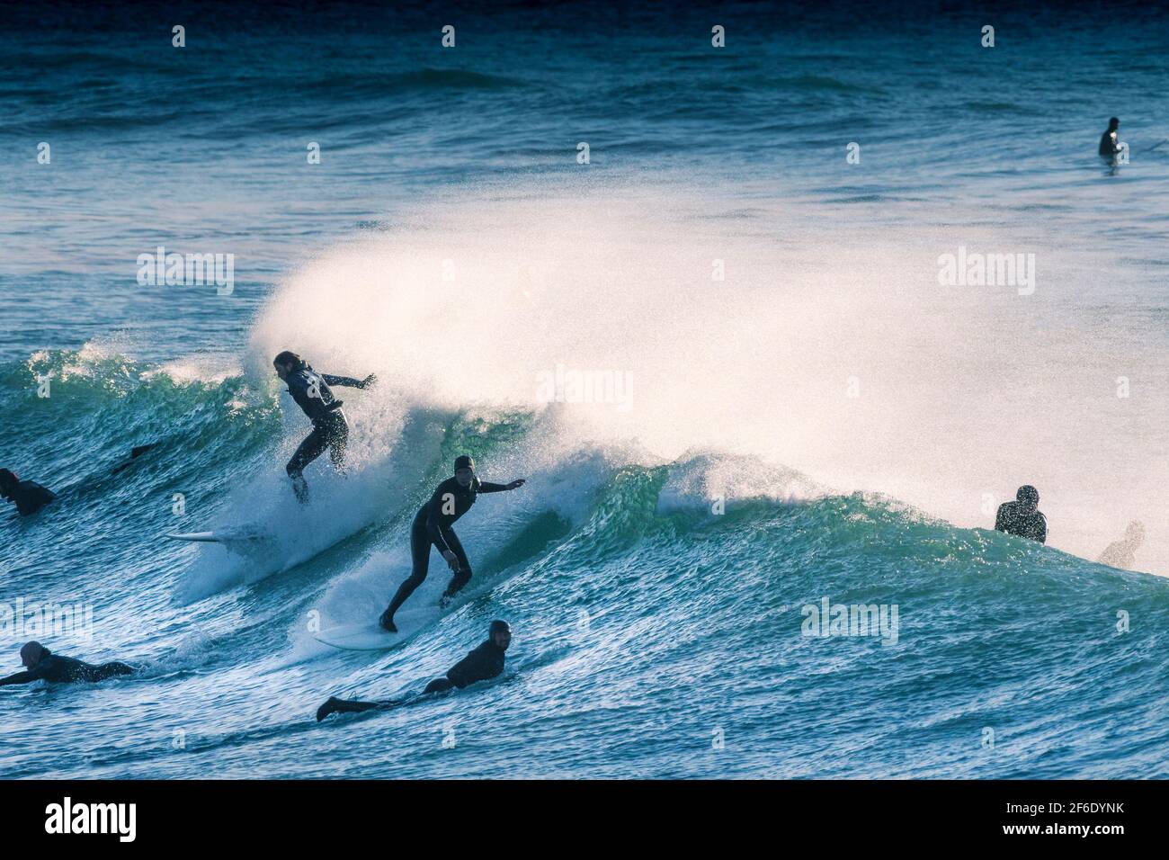 Spektakuläre Surfing-Action, wenn Surfer eine Welle reiten, wobei der Spray von starken Offshore-Winden im Fistral in Newquay in Cornwall geblasen wird. Stockfoto
