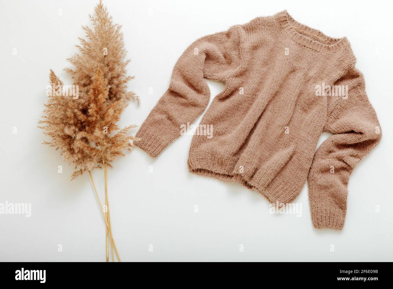 Gestrickter Pullover aus weichem Beige am Aufhänger mit Schilfzweig. Warm stilvolle Homewear Winter Frühling Outfit braun warm gestrickt Pullover mit cortaderia Zweig fl Stockfoto Gestrickter Pullover aus weichem Beige am Aufhänger mit Schilfzweig. Warm stilvolle Homewear Winter Frühling Outfit braun warm gestrickt Pullover mit cortaderia Zweig fl Stockfoto