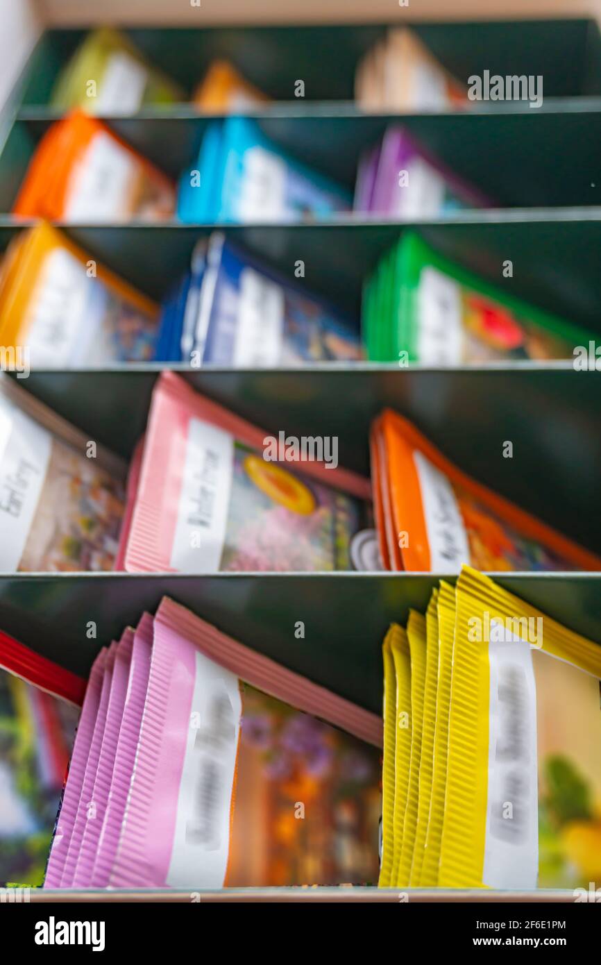 Bunte Teebeutel in einer Box, Früchtetee-Beutel in Beuteln Stockfoto