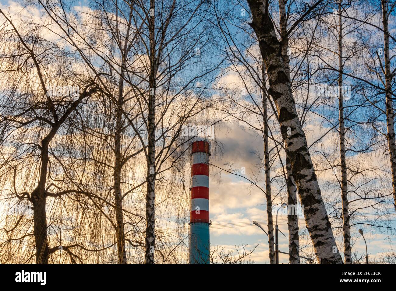Rauch kommt aus einer Industriepfeife vor dem Hintergrund eines bewölkten Himmels und Baumzweigen, Sonnenuntergang Zeit Stockfoto