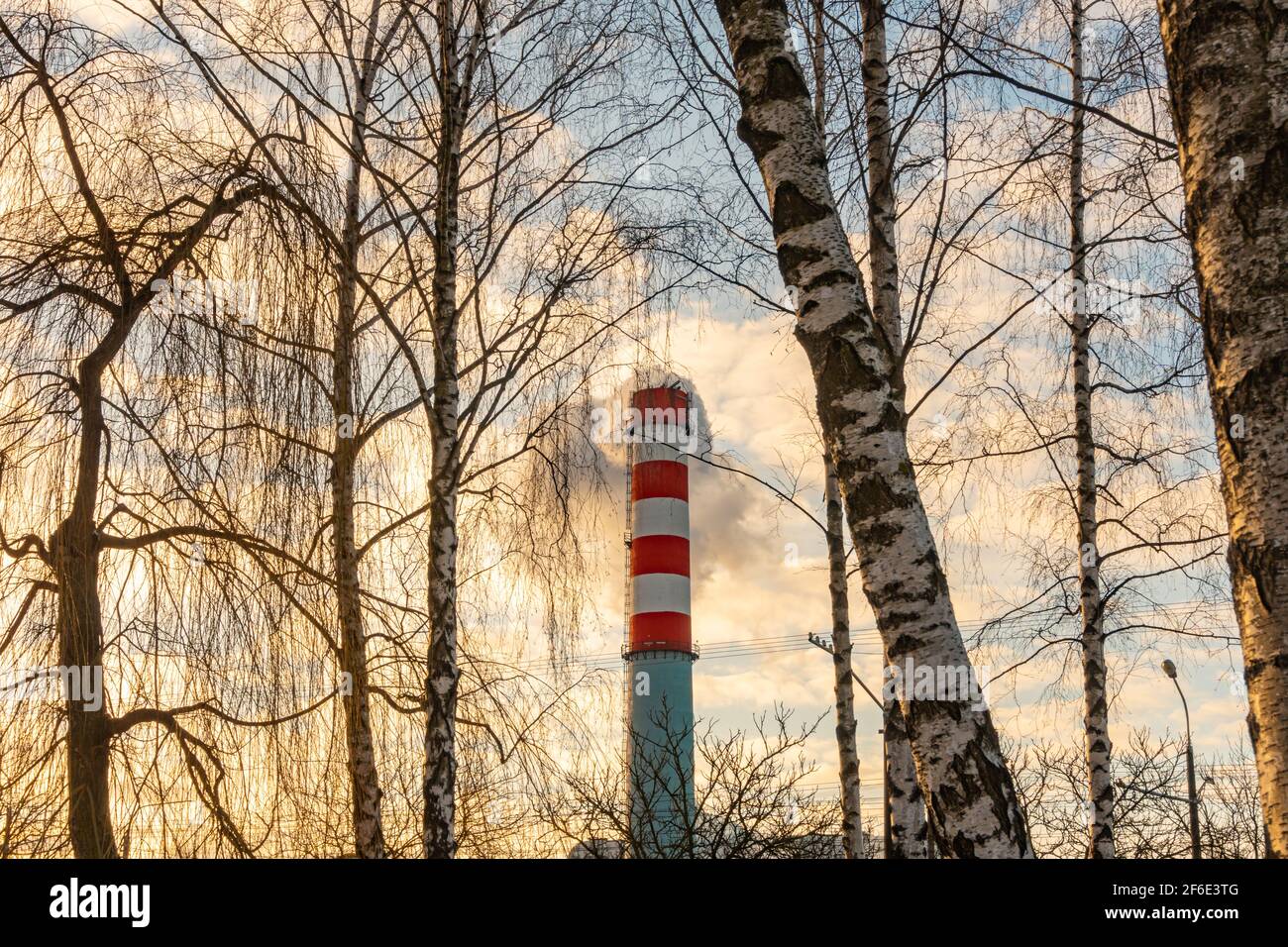 Rauch kommt aus einer Industriepfeife vor dem Hintergrund eines bewölkten Himmels und Baumzweigen, Sonnenaufgangszeit Stockfoto
